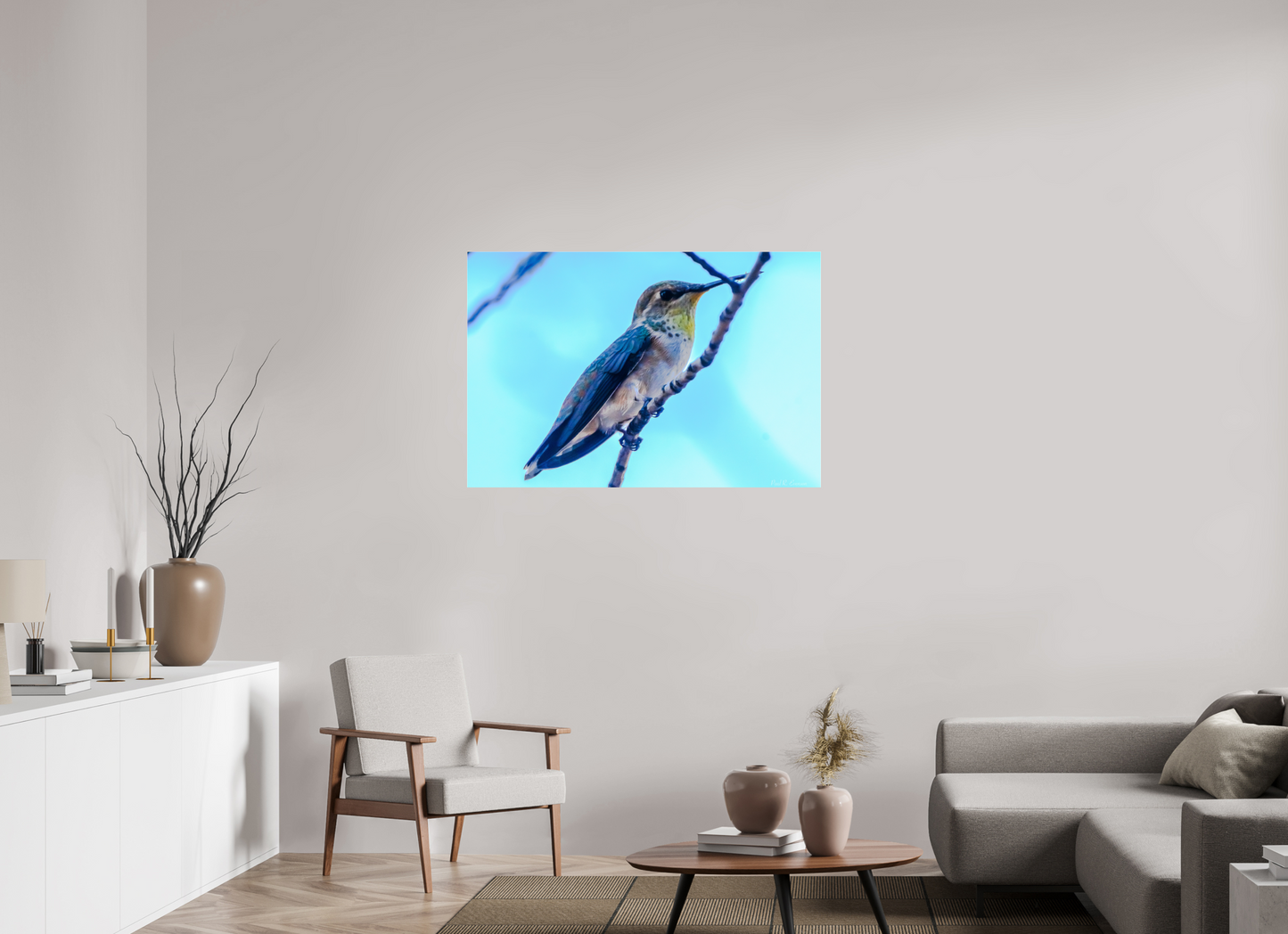 Additional Hummingbird