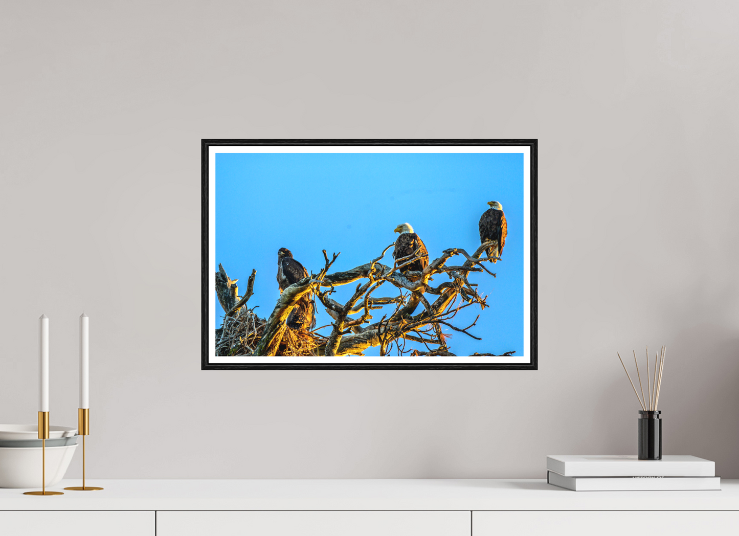 18.2 x 12″, Photo Print Under Matte Glass The Watchers: Bald Eagles of the High Desert