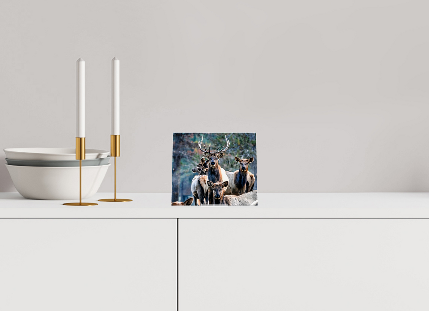 6.3 x 5.5″, Acrlic Glass Stand Elk on Acrylic