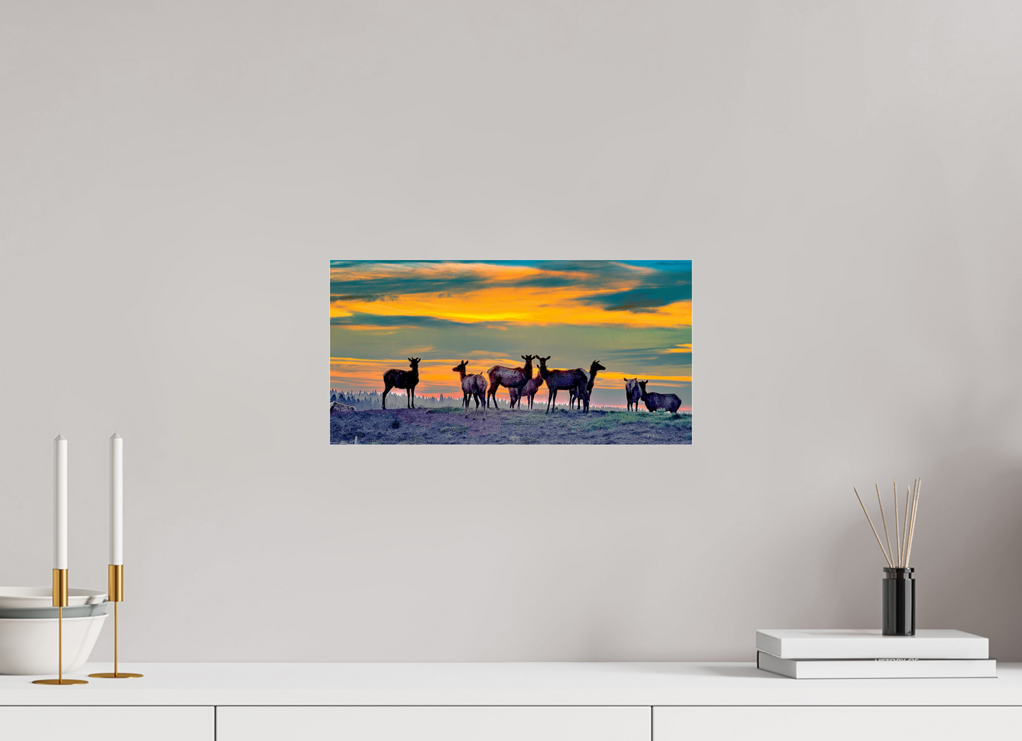 Elk Sunrise