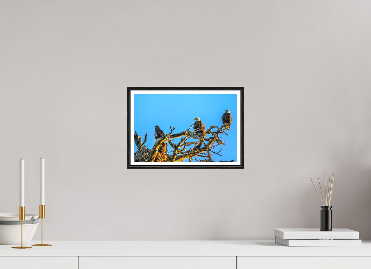 12.1 x 8″, Photo Print Under Matte Glass The Watchers: Bald Eagles of the High Desert