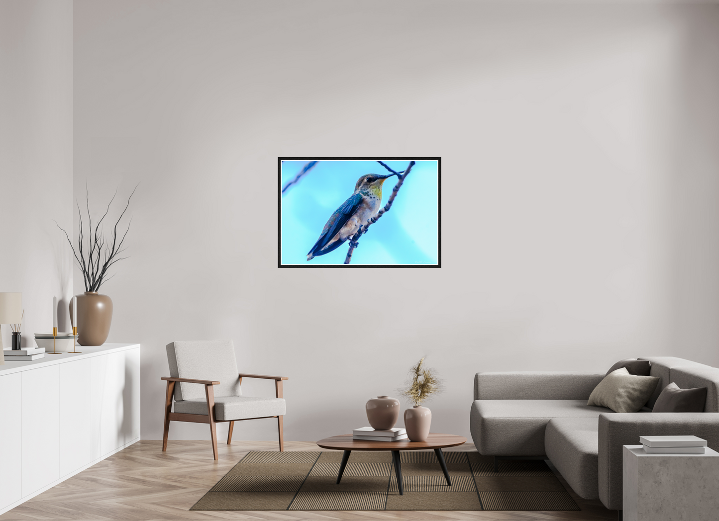 Additional Hummingbird