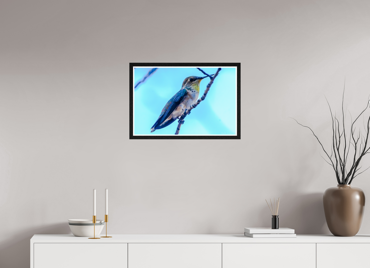 Additional Hummingbird