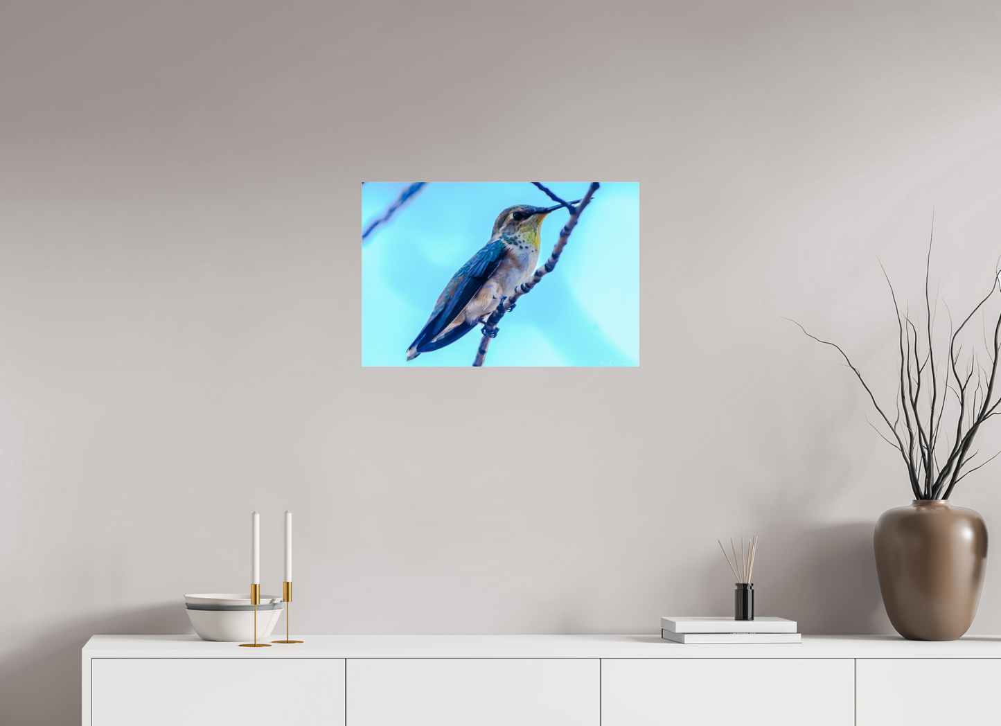 Additional Hummingbird