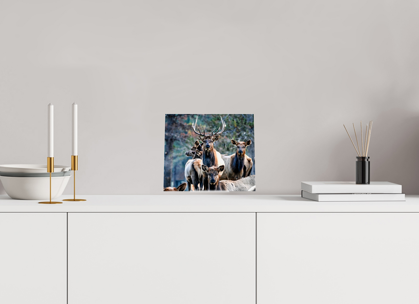 9.2 x 8″, Acrlic Glass Stand Elk on Acrylic