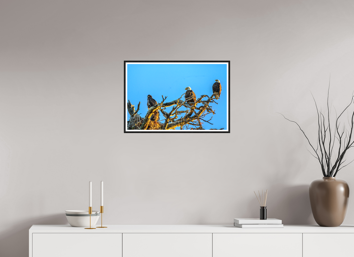 24.2 x 16″, Photo Print Under Matte Glass The Watchers: Bald Eagles of the High Desert