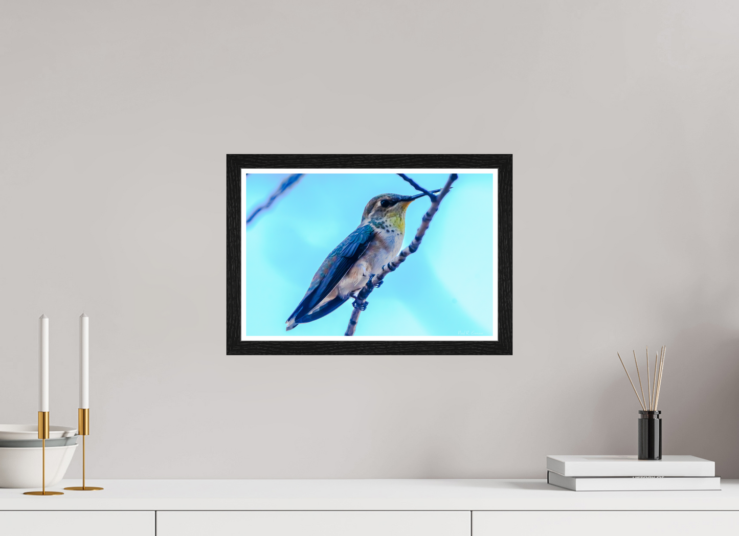 Additional Hummingbird