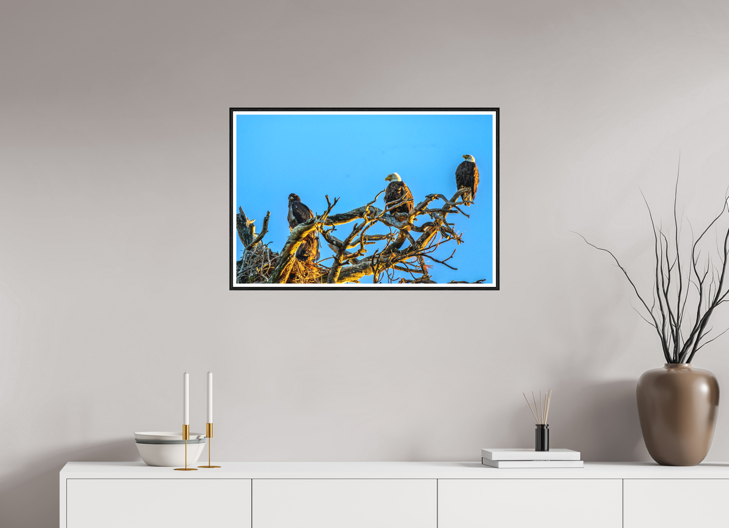 30.3 x 20″, Photo Print Under Matte Glass The Watchers: Bald Eagles of the High Desert