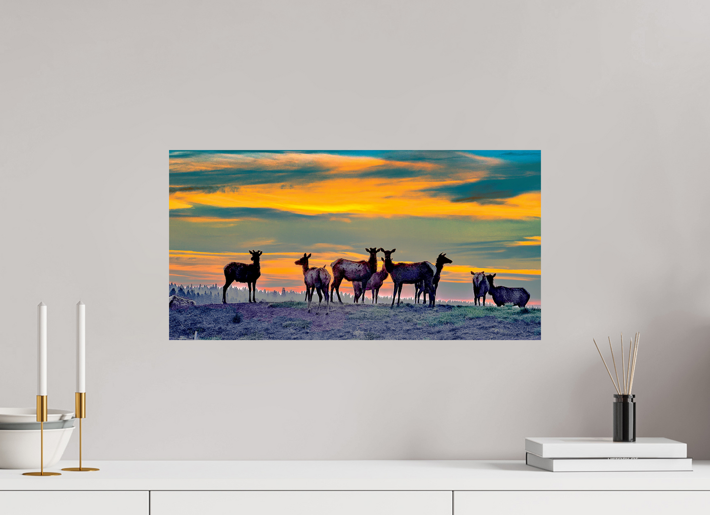 Elk Sunrise