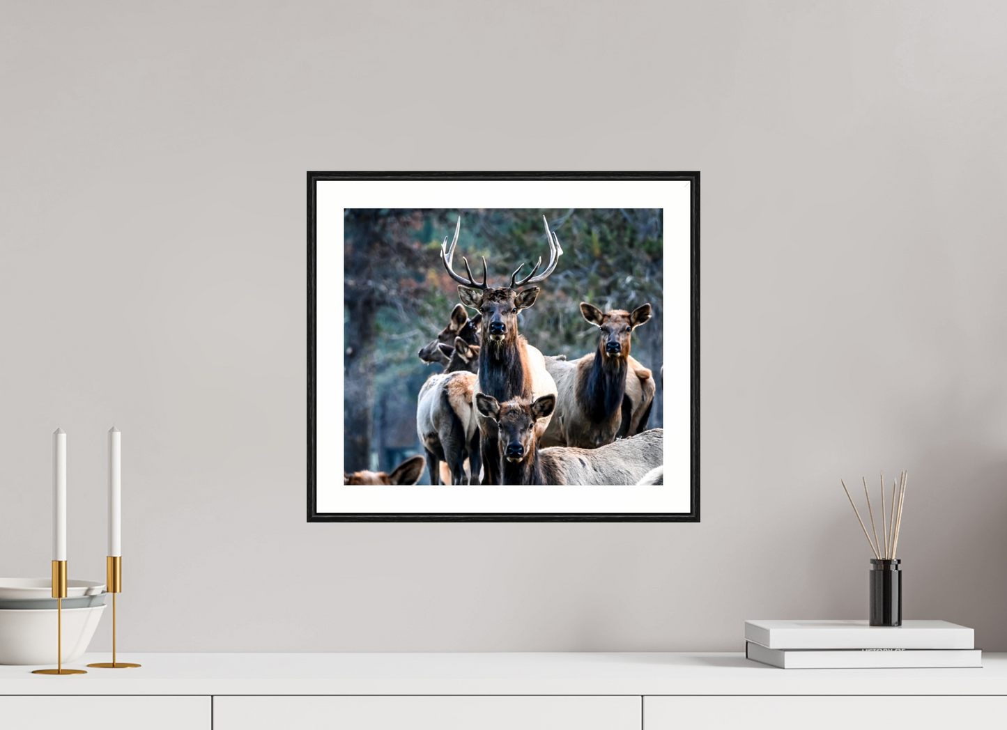 Elk 3