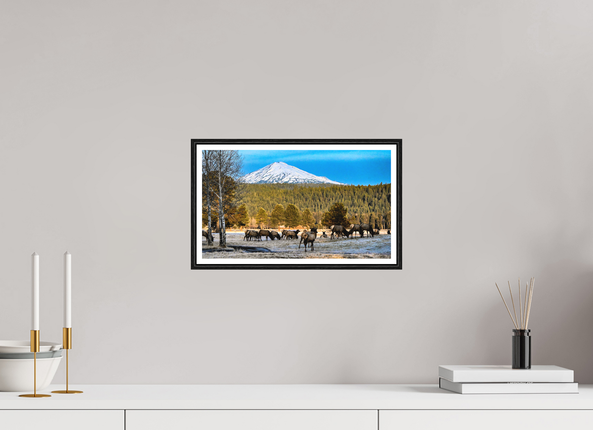 13.9 x 8″, Photo Print Under Matte Glass Elk under Matte Glas