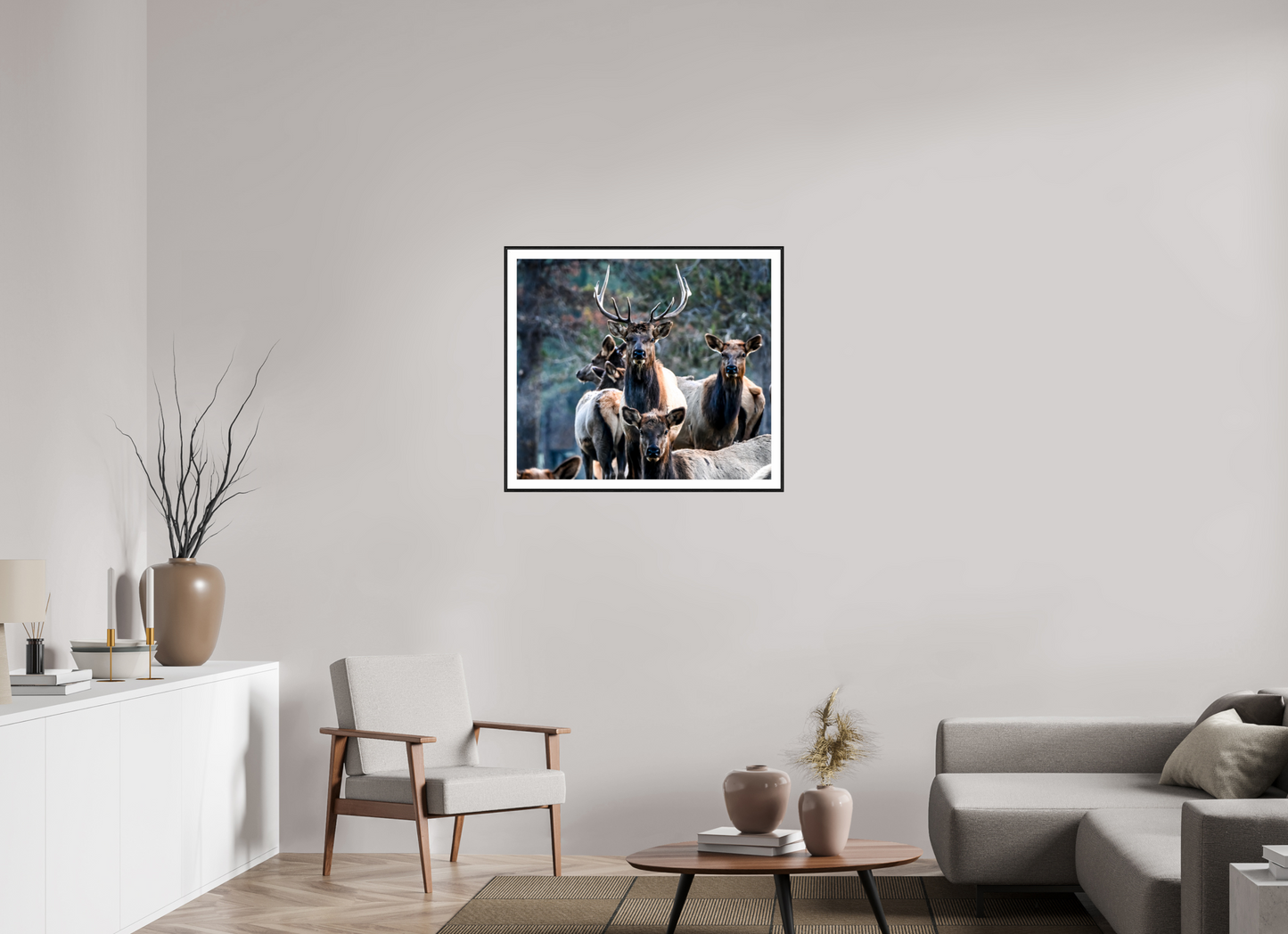 Elk 3