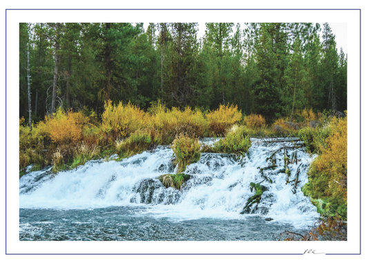 Fall River Falls - Oregon Scenic Photo - 5x7 Blank Folded Card