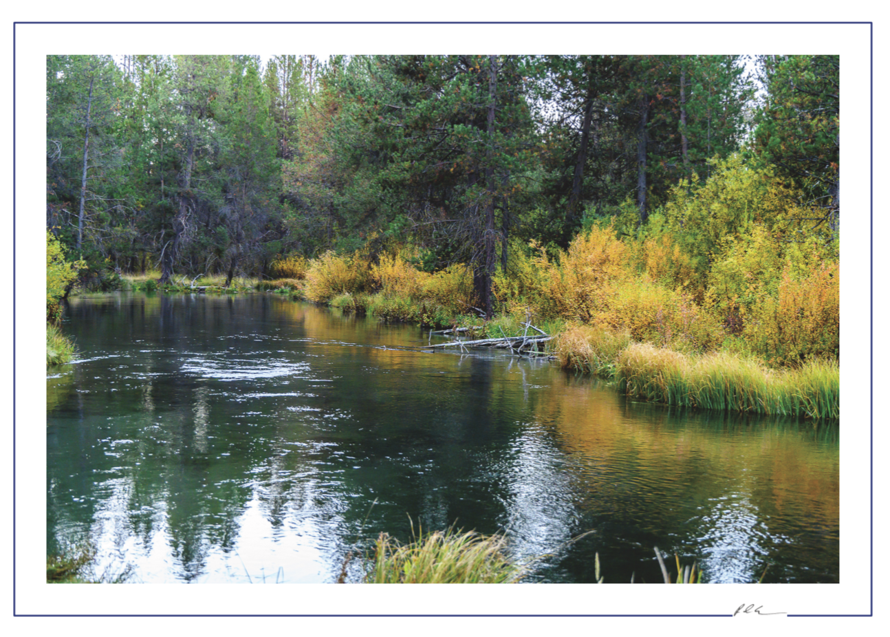 **5-Pack Oregon Scenic Stationery**
