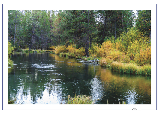 Fall River Colors - Oregon Scenic Photo - 5x7 Blank Folded Card