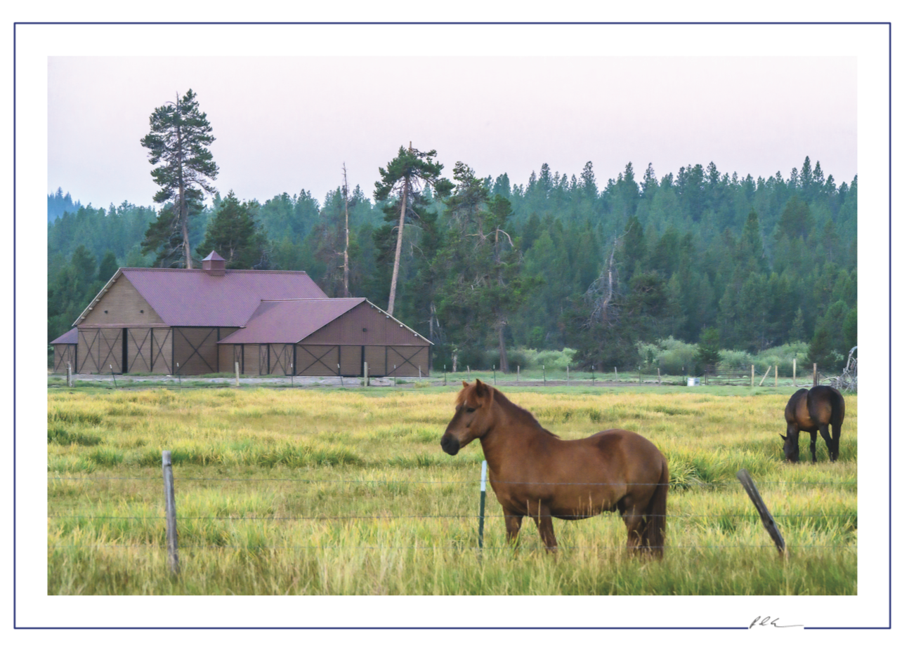 **5-Pack Oregon Scenic Stationery**