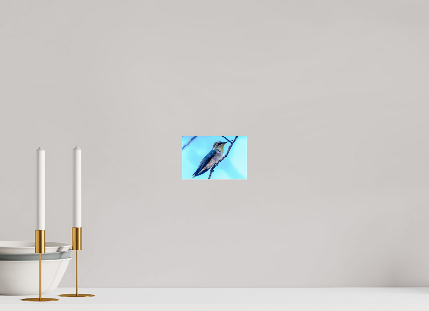 Additional Hummingbird