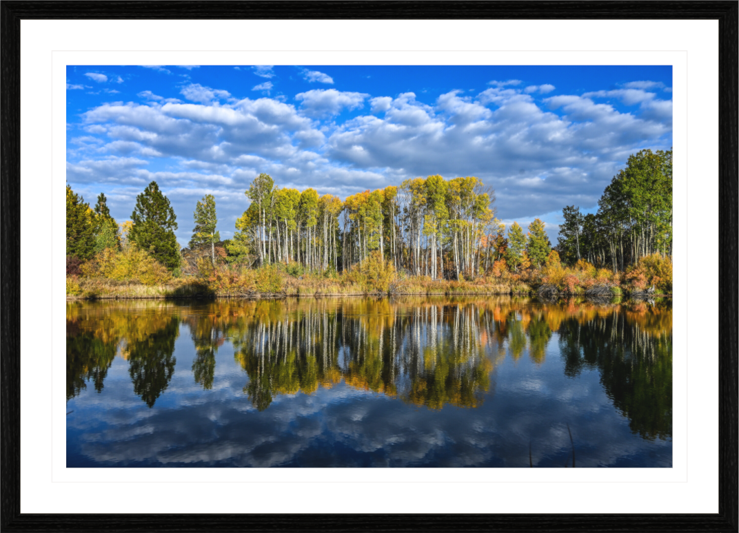 Dillon Falls