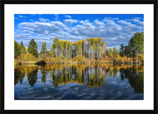 Dillon Falls