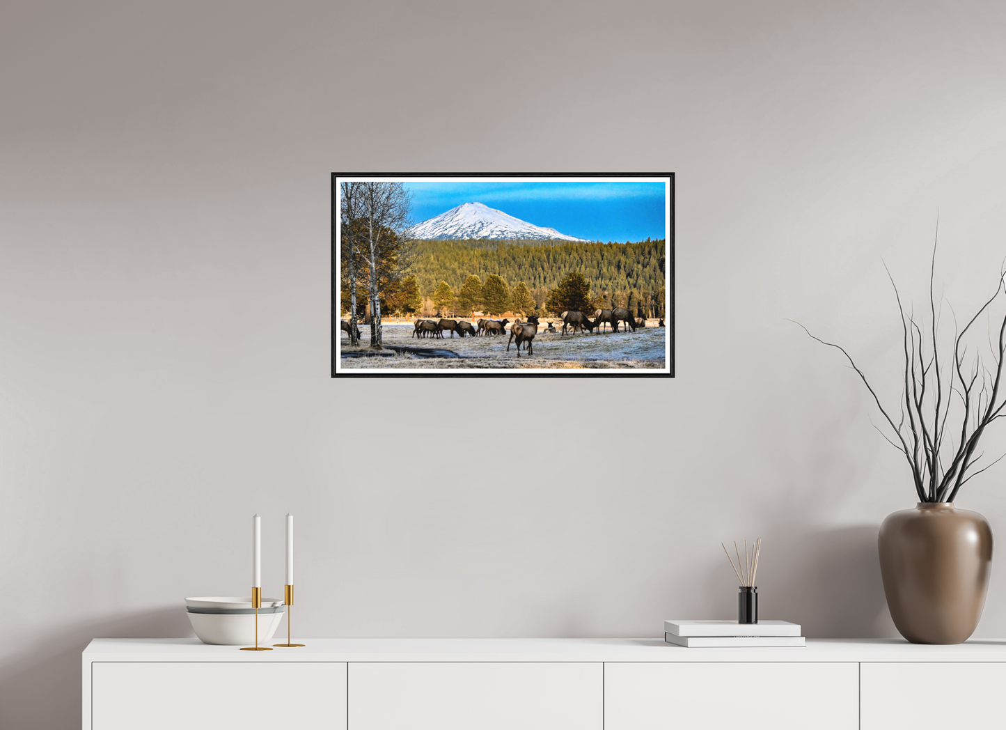 27.8 x 16″, Photo Print Under Matte Glass Elk under Matte Glas