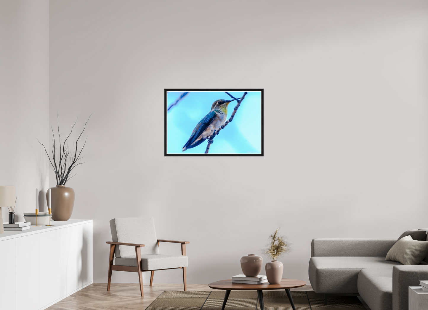 Additional Hummingbird