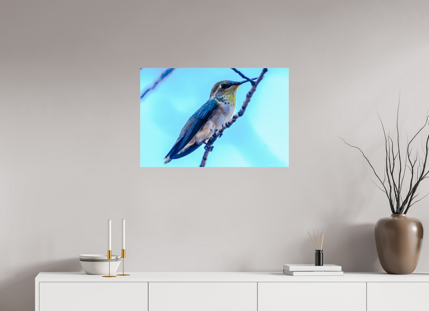 Additional Hummingbird