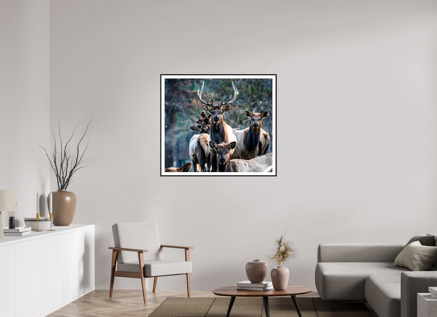 Elk 3