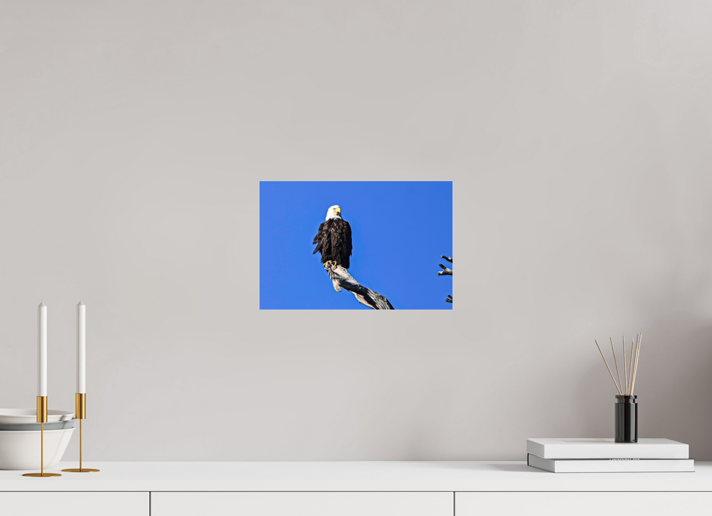Eagle