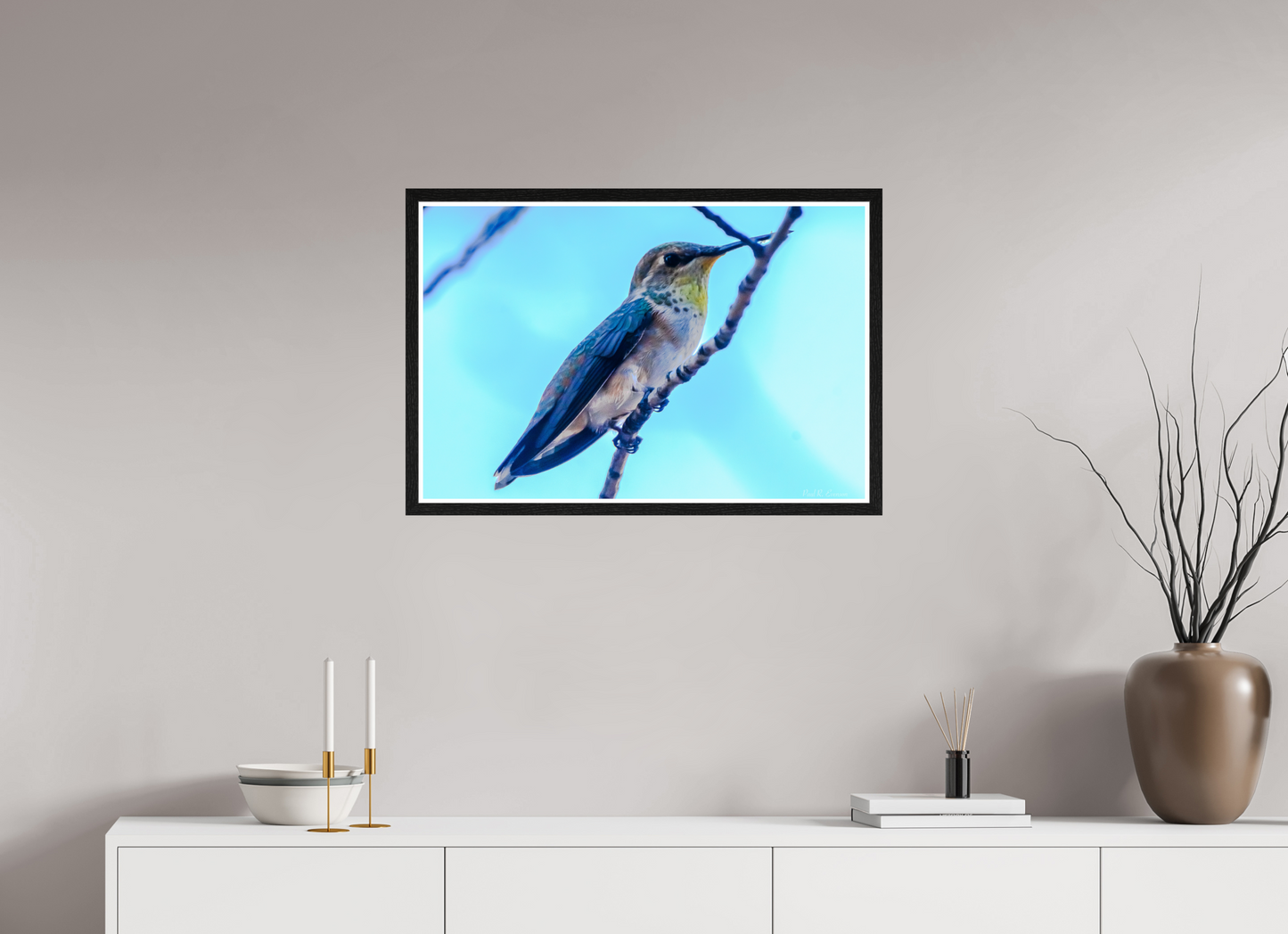 Additional Hummingbird