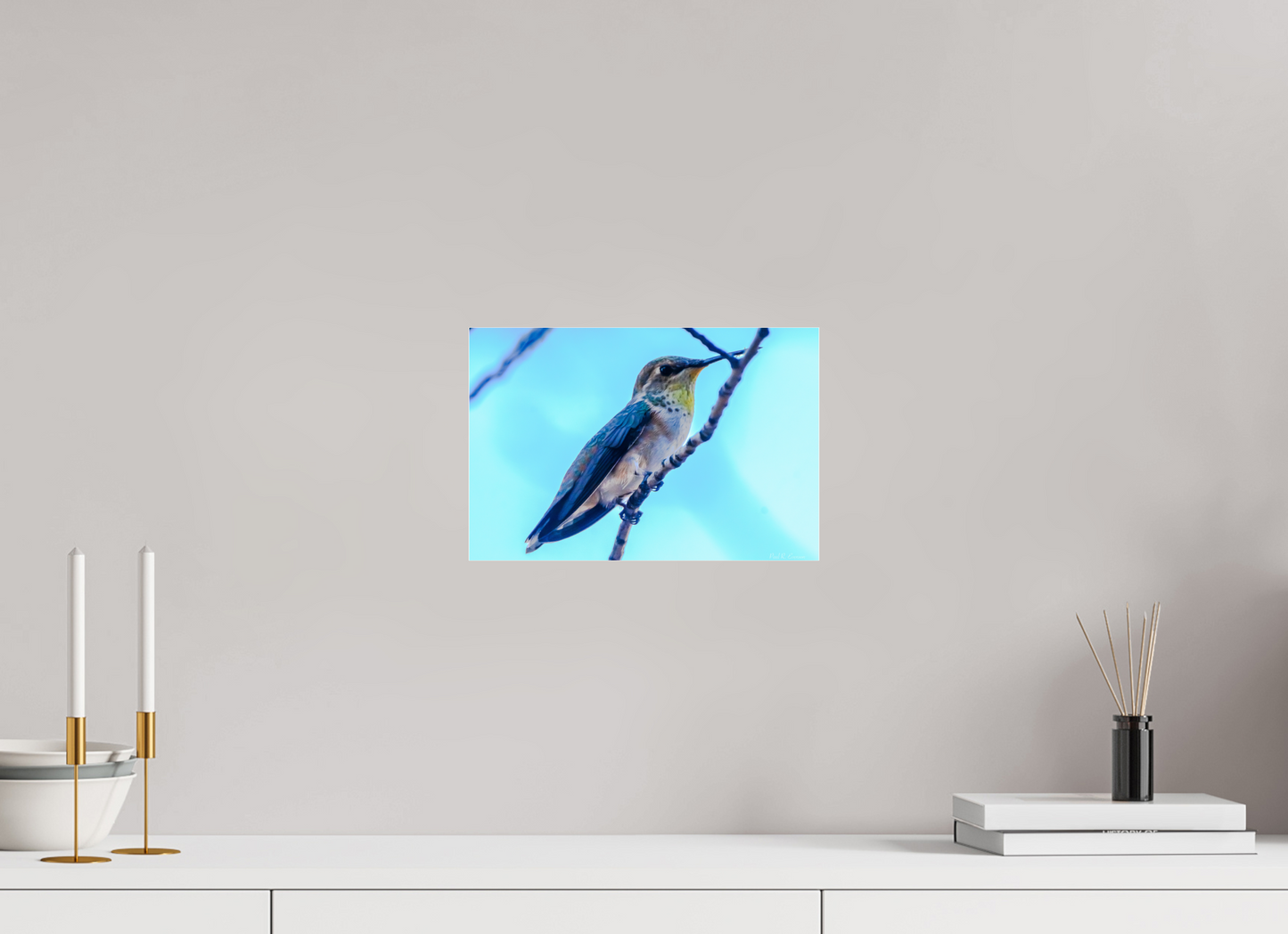 Additional Hummingbird