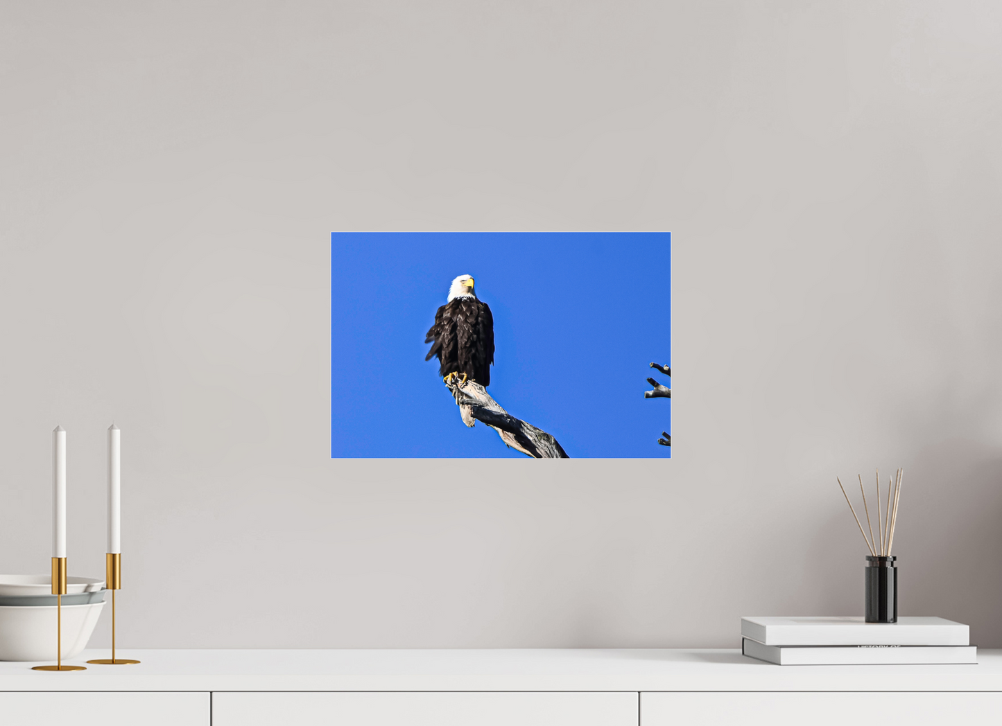 Eagle