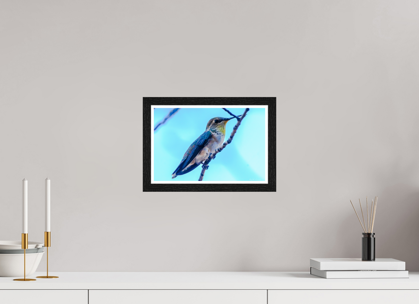 Additional Hummingbird