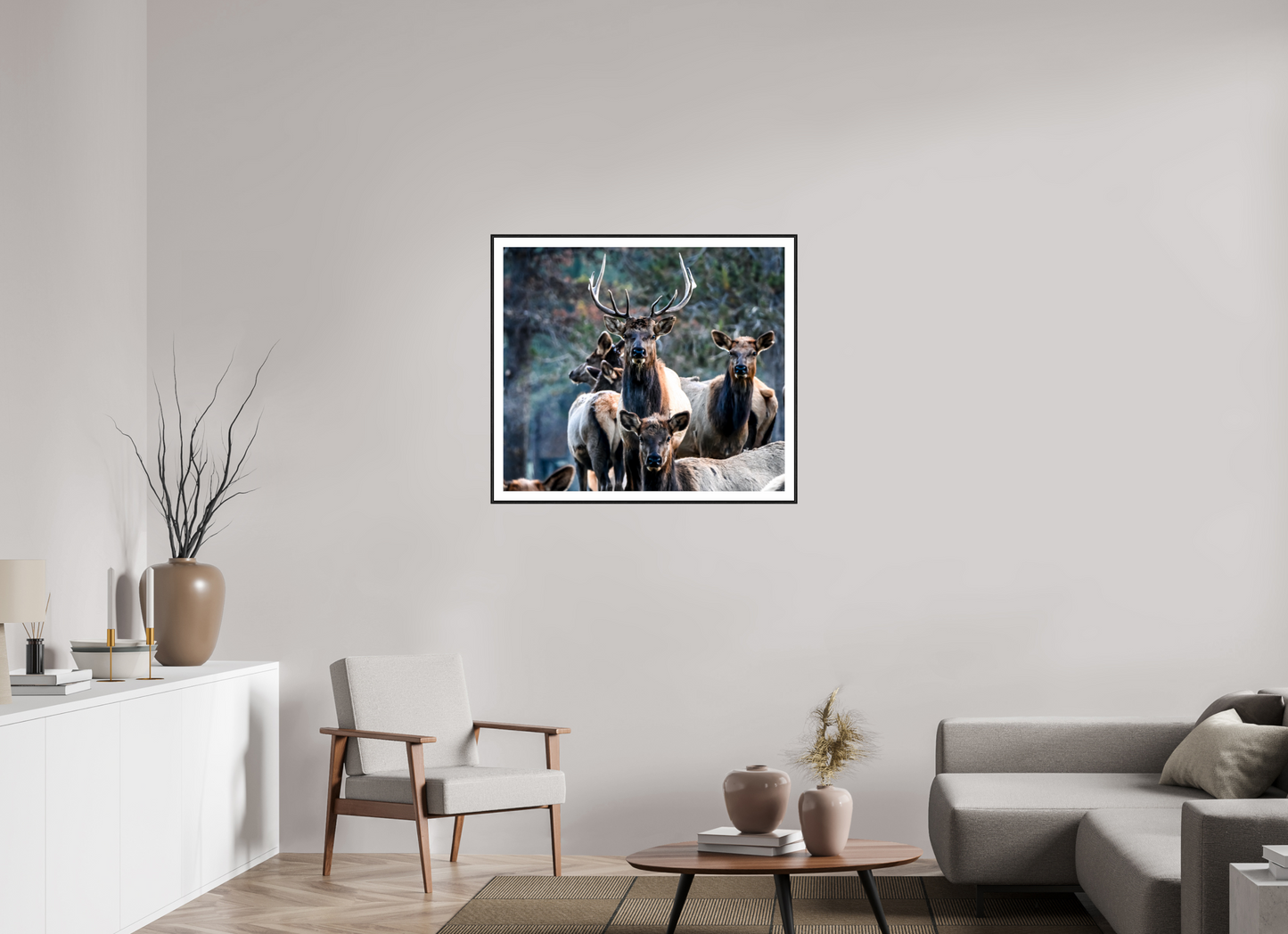 Elk 3