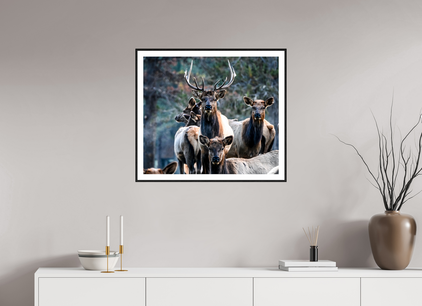 Elk 3