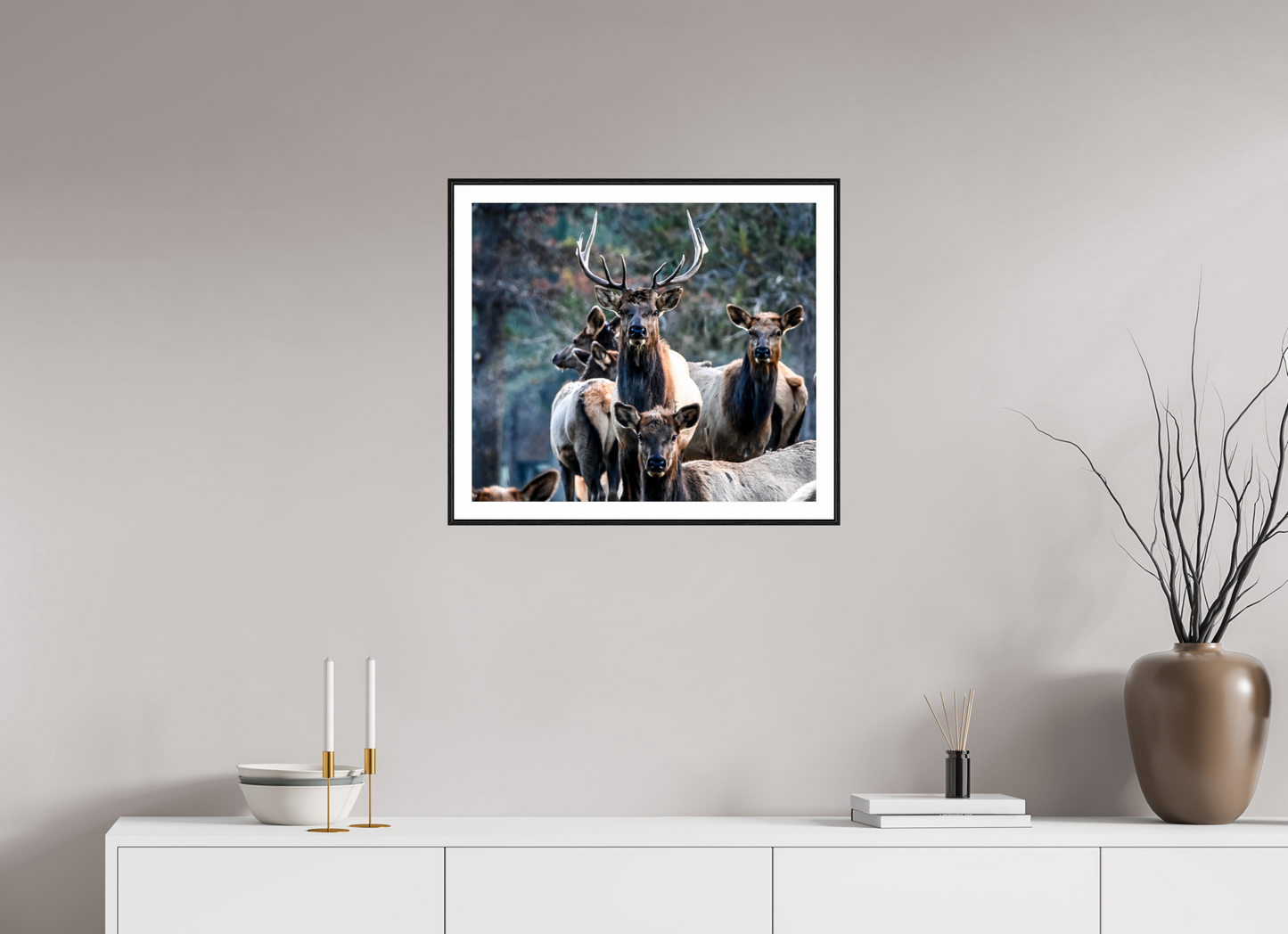 Elk 3